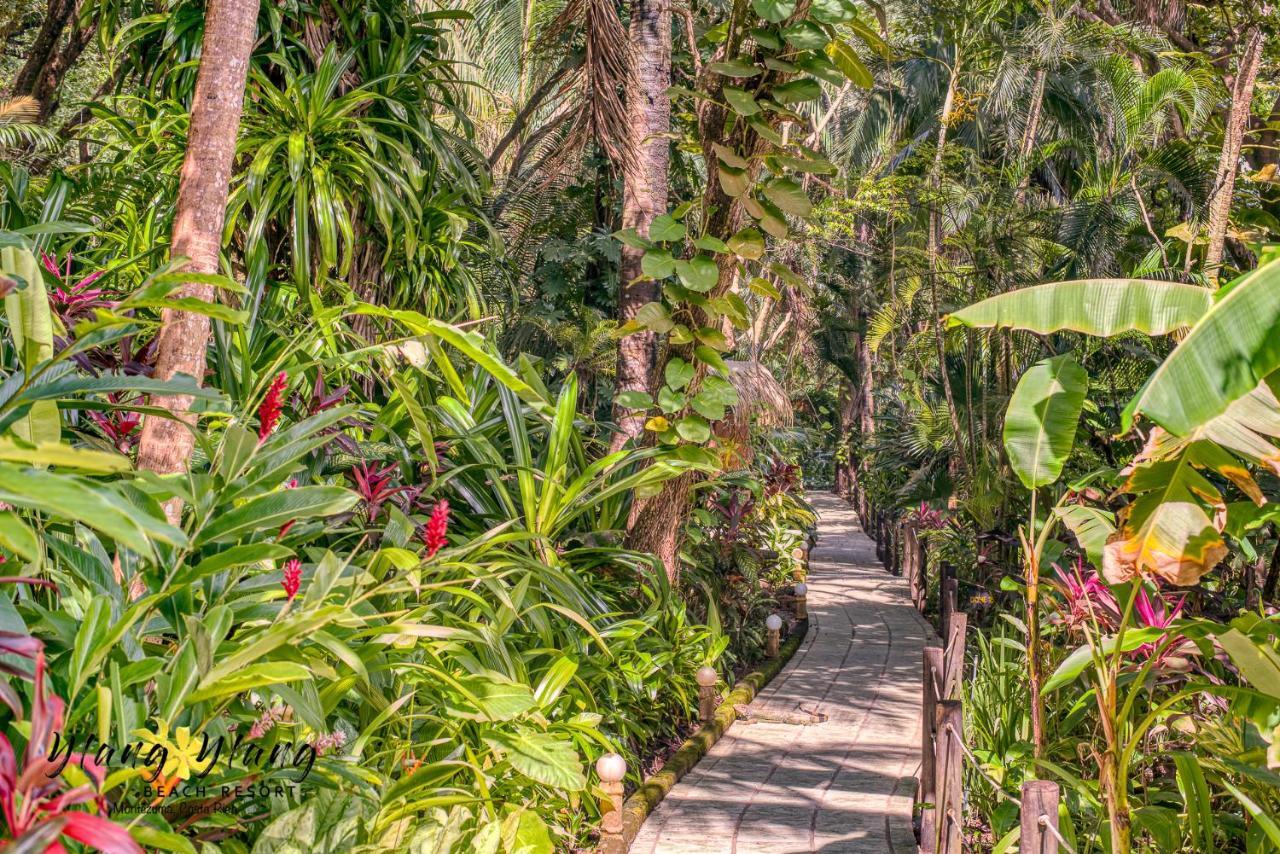 Ylang Ylang Beach Resort 蒙特苏马 外观 照片